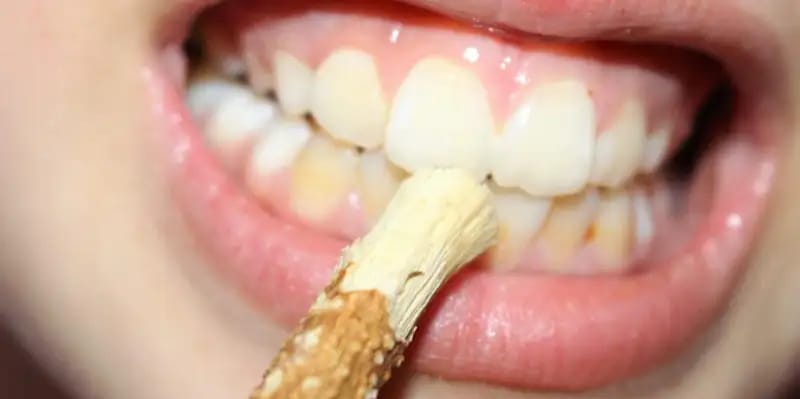 Bagaimana Buah Duwet Menjaga Kesehatan Tulang dan Gigi? Baca di Sini Caranya