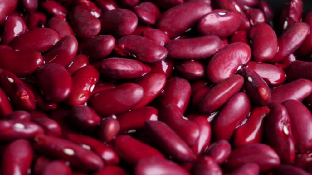 Manfaat Luar Biasa Kacang Merah untuk Ibu Hamil: Kekayaan Vitamin B Complex dan Folat