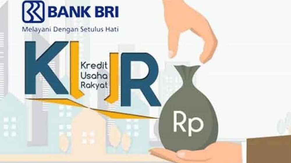 Adanya KUR BRI Debitur Semakin Dipermudah Kembangkan Usaha, Bunga Kecil Pencairan Cepat