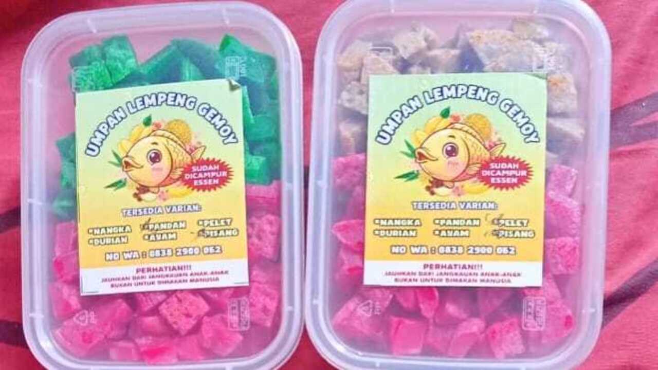 Umpan Lempeng Buatan Sendiri Terbukti Efektif, Ikan Sungai Liar Mudah Terkait Kail