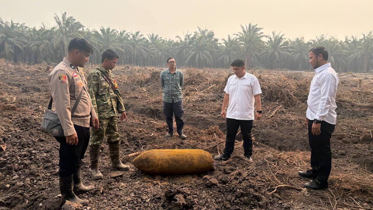 Geger! Martir Berkarat Sepanjang 1 Meter Ditemukan di Kebun Sawit Ogan Ilir