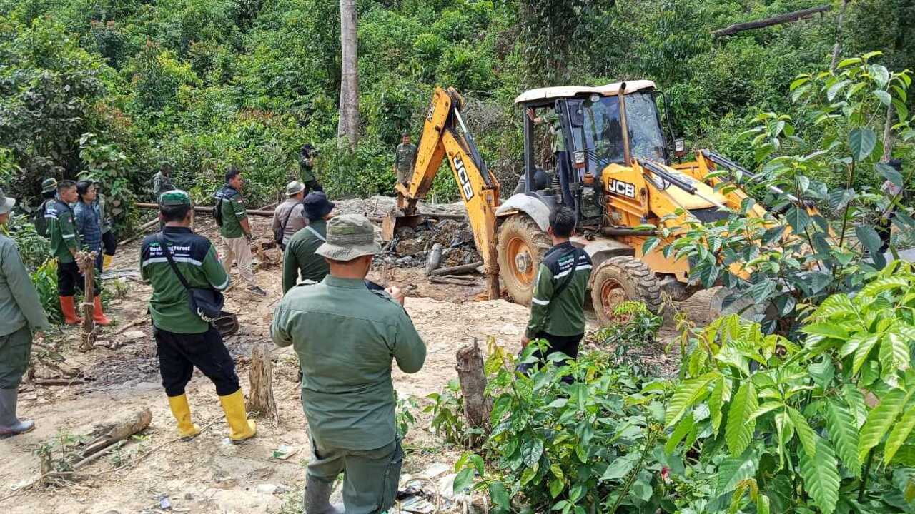 Operasi Gabungan Dishut Sumsel dan Jambi Tertibkan Sumur Minyak Ilegal di Hutan Harapan PT REKI