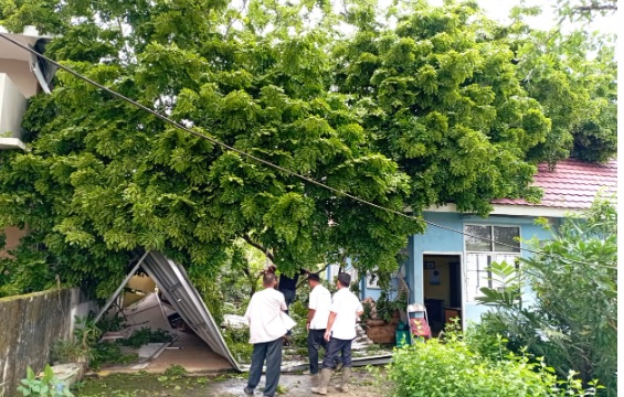 Angin Kencang, Kantor Lurah di Palembang Rusak Tertimpa Pohon Tumbang, Begini Kondisinya..