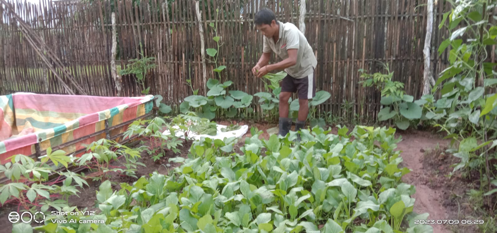 Manfaatkan Pekarangan Rumah Buat Tanam Sayuran, Waga OI Ini Panen Cuan