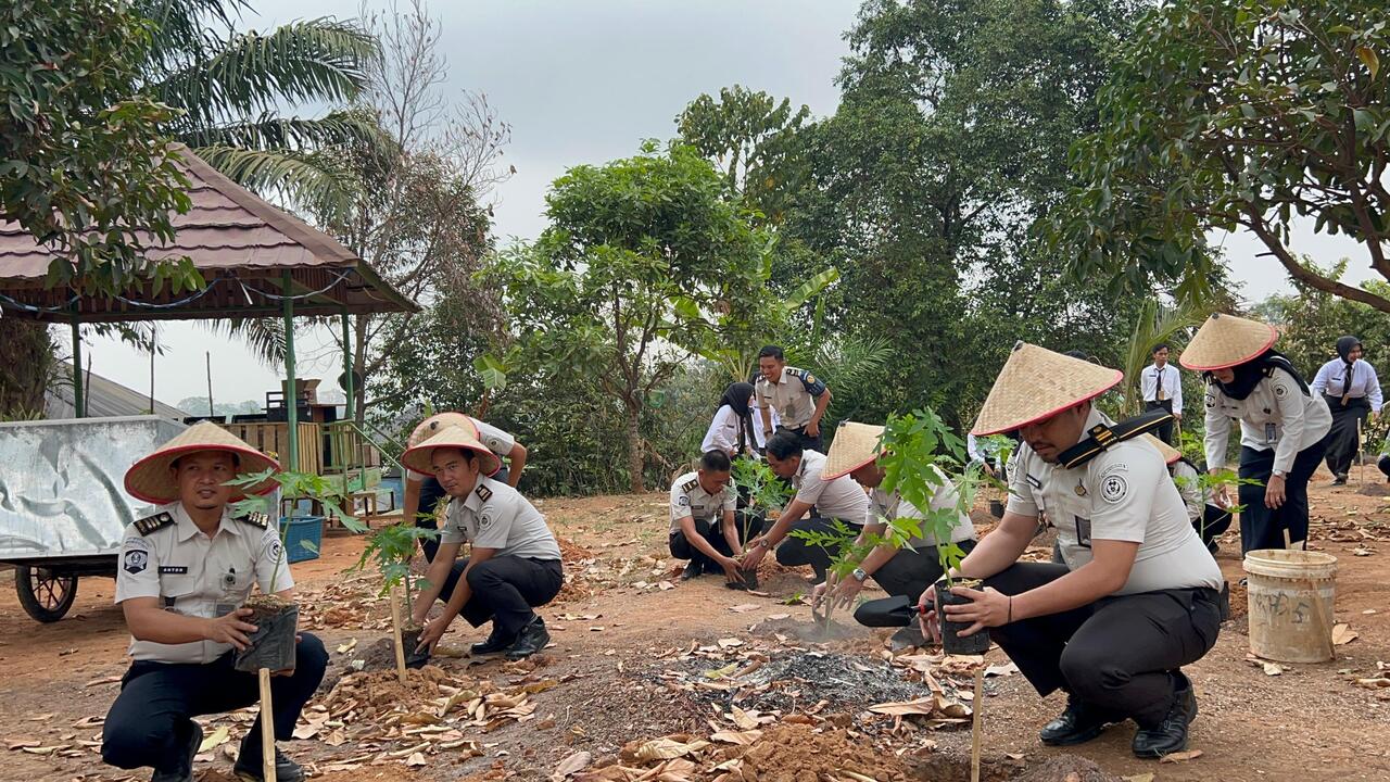 Dukung Ketahanan Pangan, Tanam Pepaya California