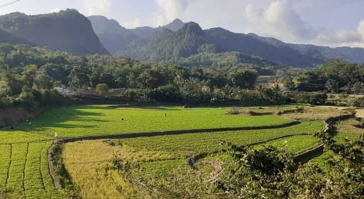 Pemekaran Wilayah Provinsi Sulawesi Selatan, Ini Potensi Ekonomi Kabupaten Bone Ibukota Provinsi Bugis Timur