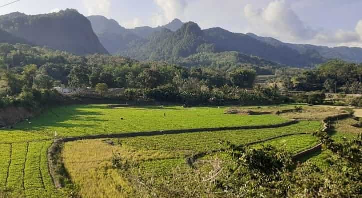 Pemekaran Wilayah Sulawesi Utara: Calon Kota Melonguane Andalkan Destinasi Wisata Unggulan