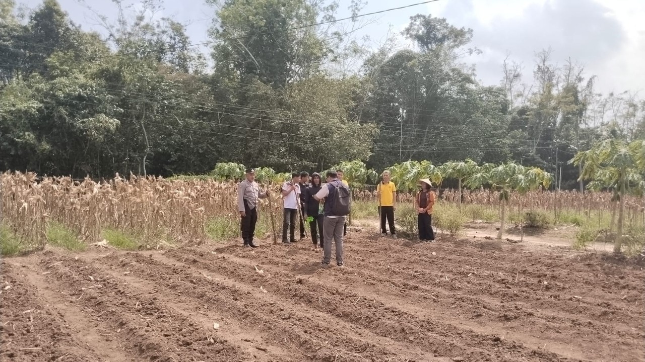 Dukung Ketahanan Pangan, Tanam Jagung Selaluas 1,5 Hektar