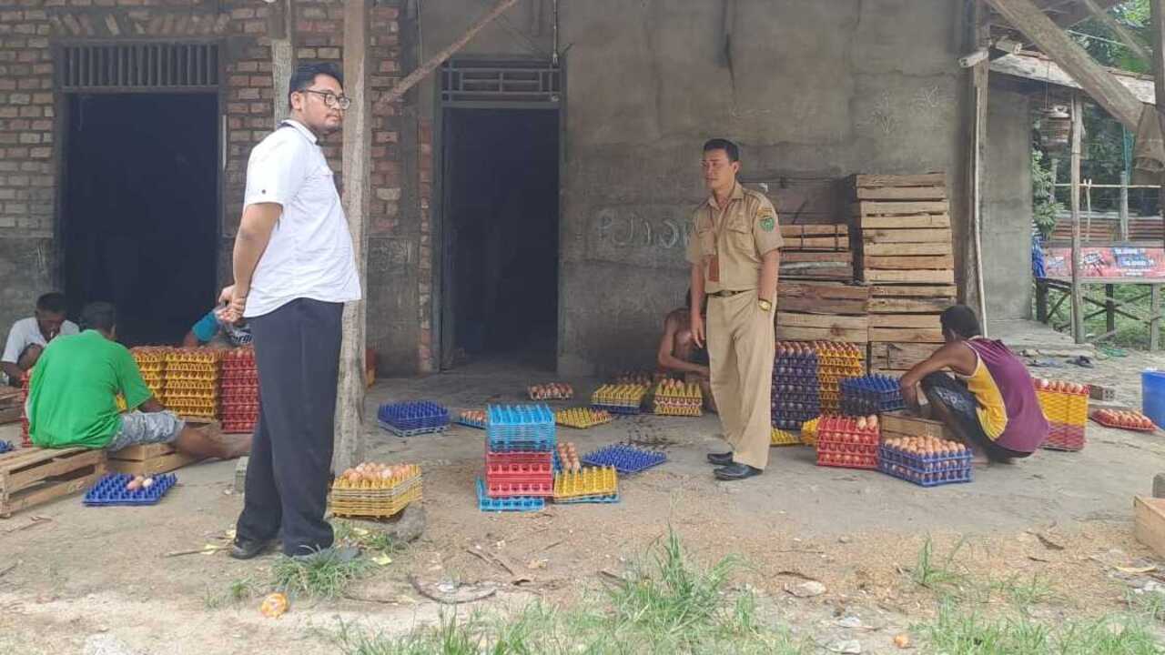 Peralihan Musim, Dinas Pertanian Prabumulih Imbau Peternak Unggas Waspada Flu Burung