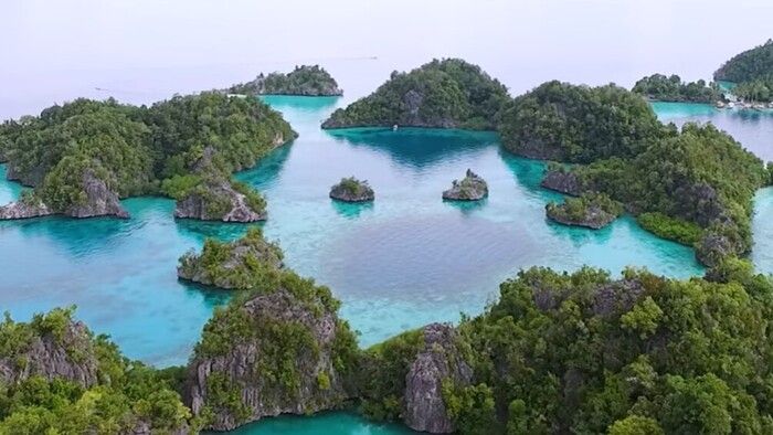 5 Fakta Unik Pulau Sombori: Hidden Gem di Sulawesi Tengah yang Menyita Perhatian Dunia