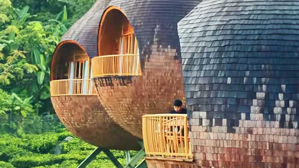 The Ciliwung Glamping, Rekomendasi Utama untuk Staycation yang Memikat di Tahun Baru 2024