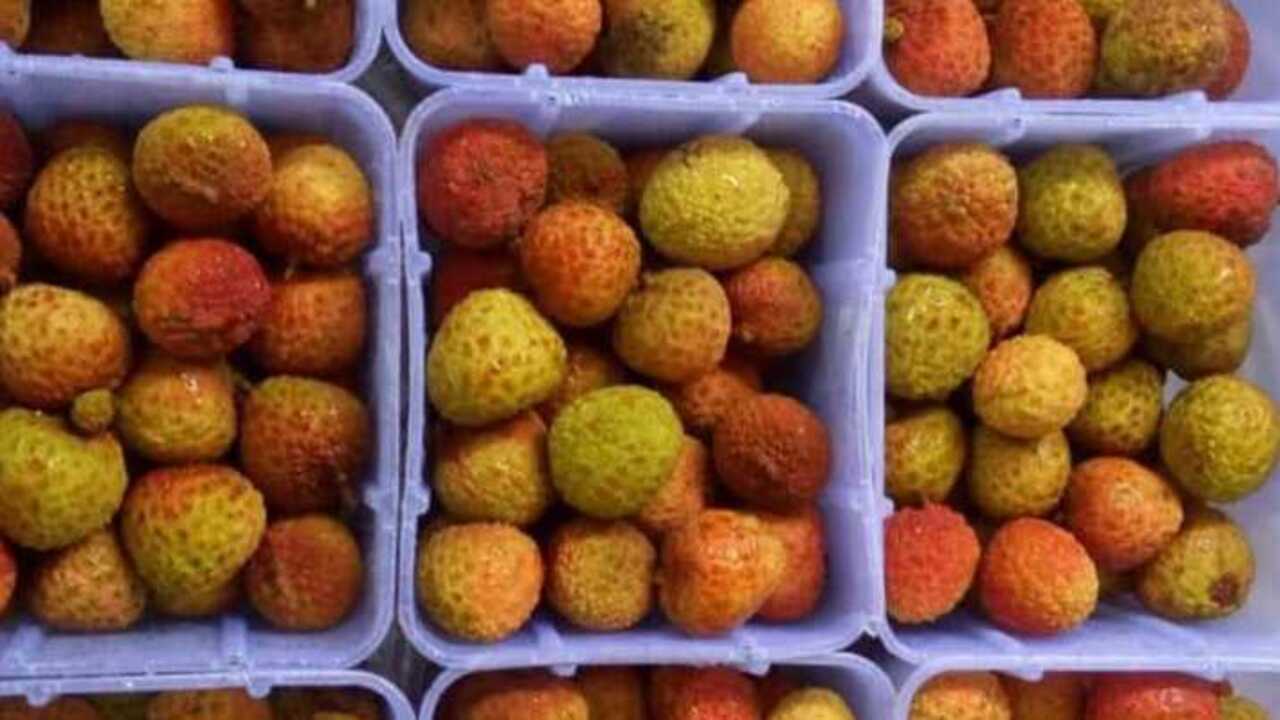 Manfaat Buah Leci untuk Kesehatan dan Kecantikan