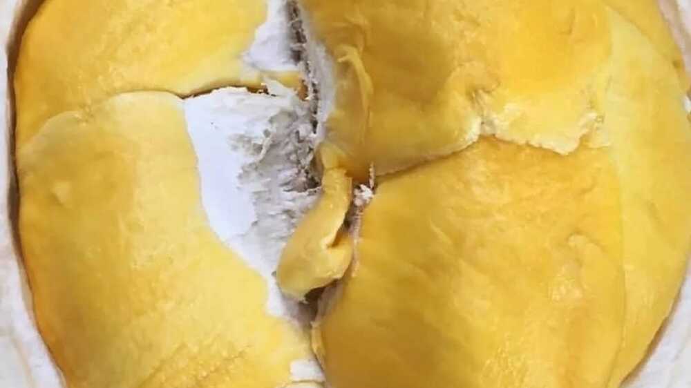 Durian Musang King VS Durian Monthong: Perbandingan Rasa, Tekstur dan Aroma Dua Varian Durian yang Populer
