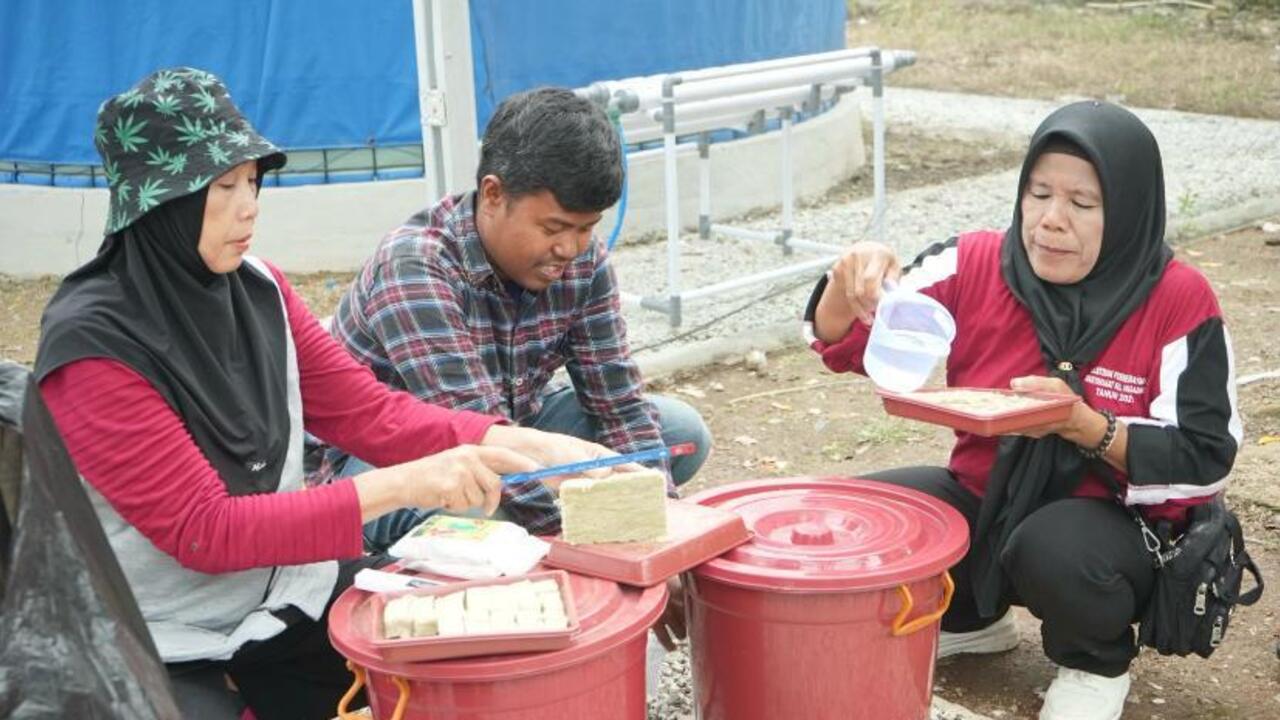 PT Semen Baturaja Kembangkan Program Hidroponik