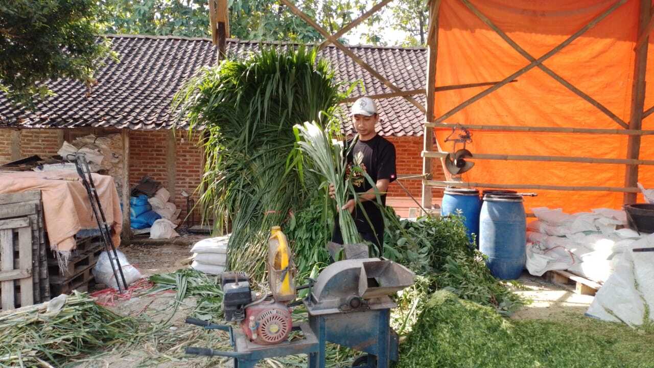 Kisah Pengusaha Pakan Ternak dari Ponorogo Ini Buktikan KUR BRI Bisa Bikin Usaha Berkembang
