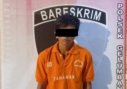 Pelaku Pencurian Diamankan Kedapatan Bawa Sajam