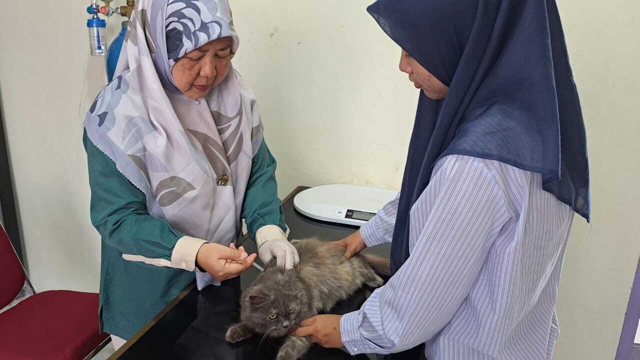 Selama Ramadan 1447 H, Puskeswan Prabumulih Tetap Buka Layani Pemeriksaan Kesehatan Hewan