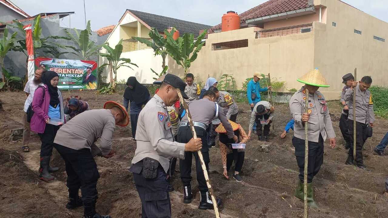 Manfaatkan Lahan Kosong, Polsek Prabumulih Timur Gelar Penanaman Jagung Bersama Masyarakat