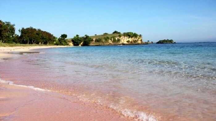 Pantai Pink di Lombok: Surga Pantai dengan Pasir Merah yang Memukau