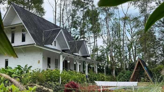Pesona Eksklusif Villa Rumah Putih di Puncak Gunung Salak