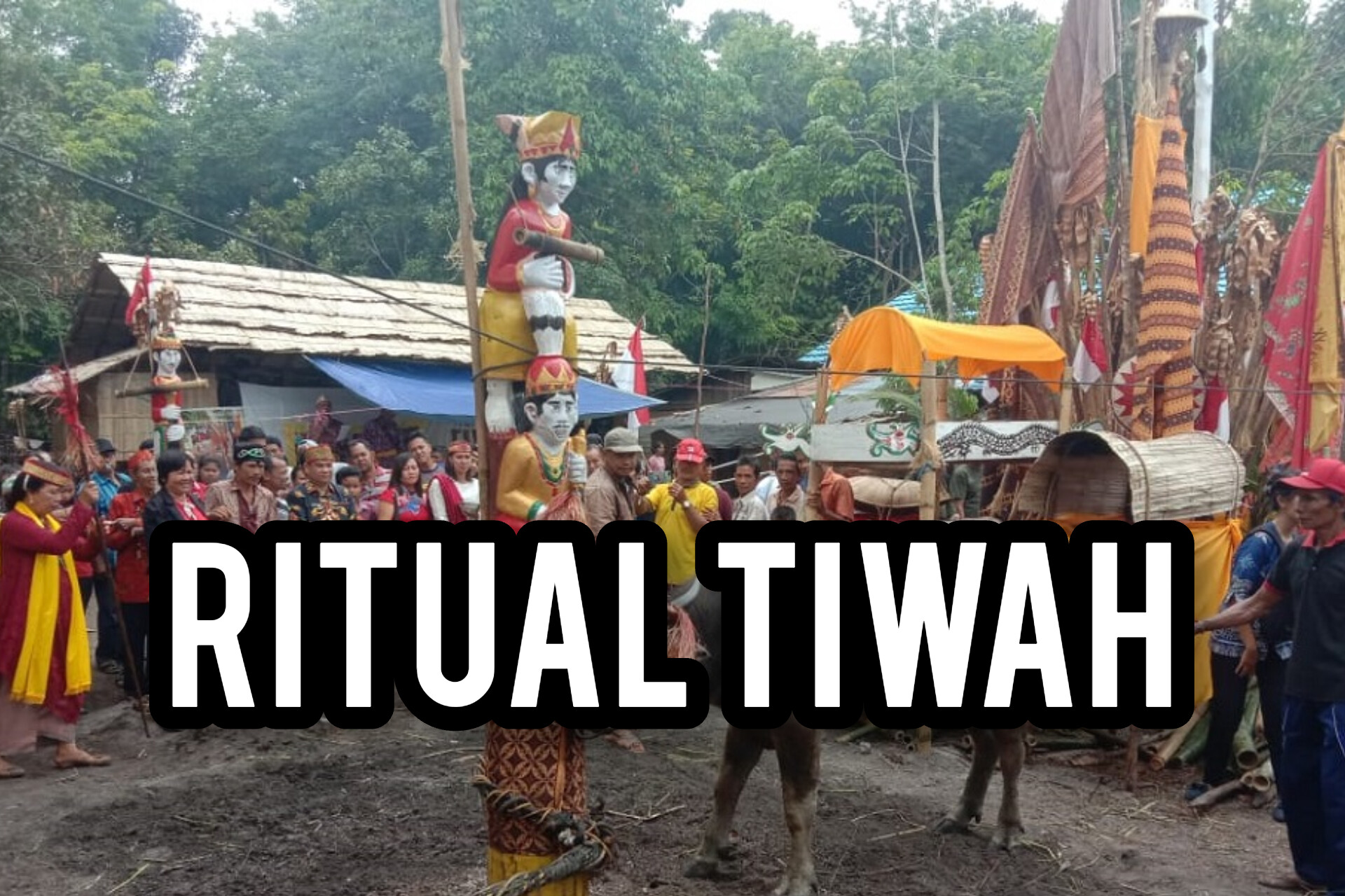 Waw! Upacara Ritual Tiwah Suku Dayak Ngaju: Di Mana Tulang Orang Ninggal Dipisahkan dari Dagingnya