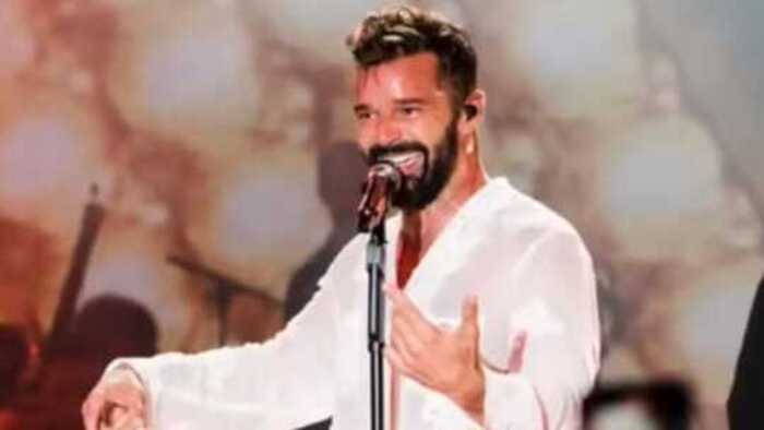 Enam Tahun Bina Rumah Tangga, Ricky Martin Bercerai dengan Jwan Yosef Suaminya 