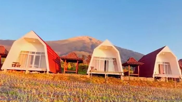 Silancur Glamping: Destinasi Tersembunyi di Bawah Kaki Gunung Sumbing untuk Liburan yang Luar Biasa