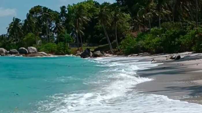 Pulau Berhala, Permata Tersembunyi di Jantung Jambi