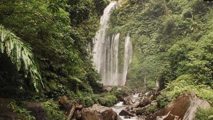 Air Terjun Sendang Gile: Keindahan Alam yang Mengagumkan di Tengah Hutan Tropis Lombok