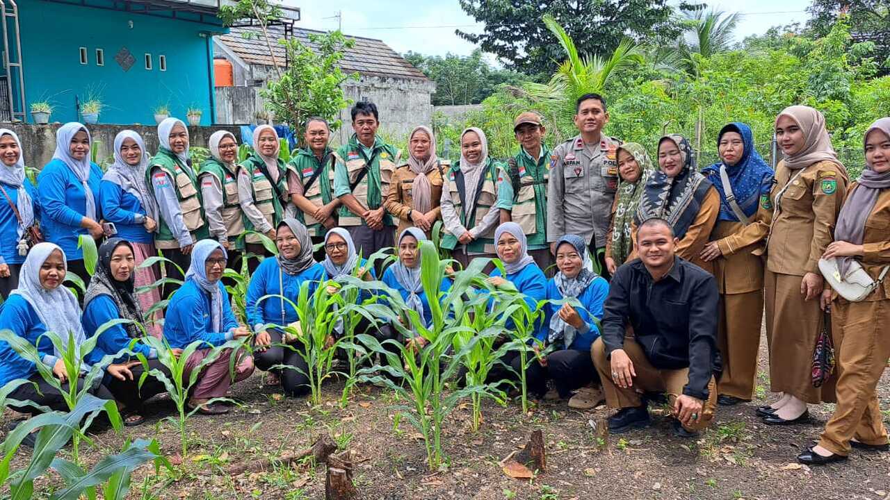 KWT Merpati Muara Dua Sukses Tingkatkan Ekonomi Keluarga Lewat Kebun Mandiri