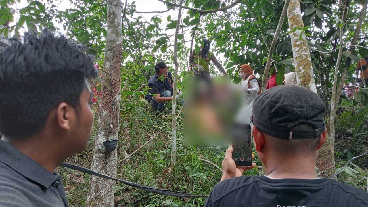 Warga Mendadak Heboh: Pemuda Pedamaran Timur Ditemukan Tewas Tergantung di Kebun Karet!