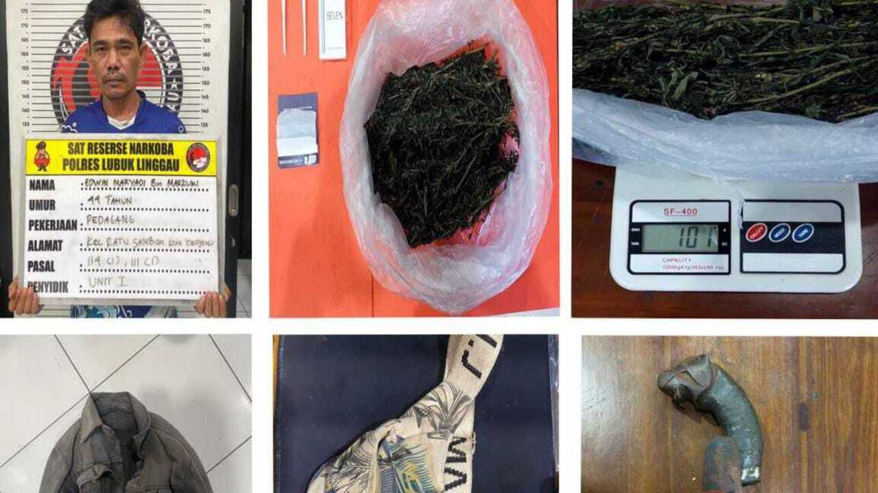 Nyambi Bisnis Ganja, Pedagang Asal Bengkulu Terciduk Bawa Ganja di Kota Lubuklinggau