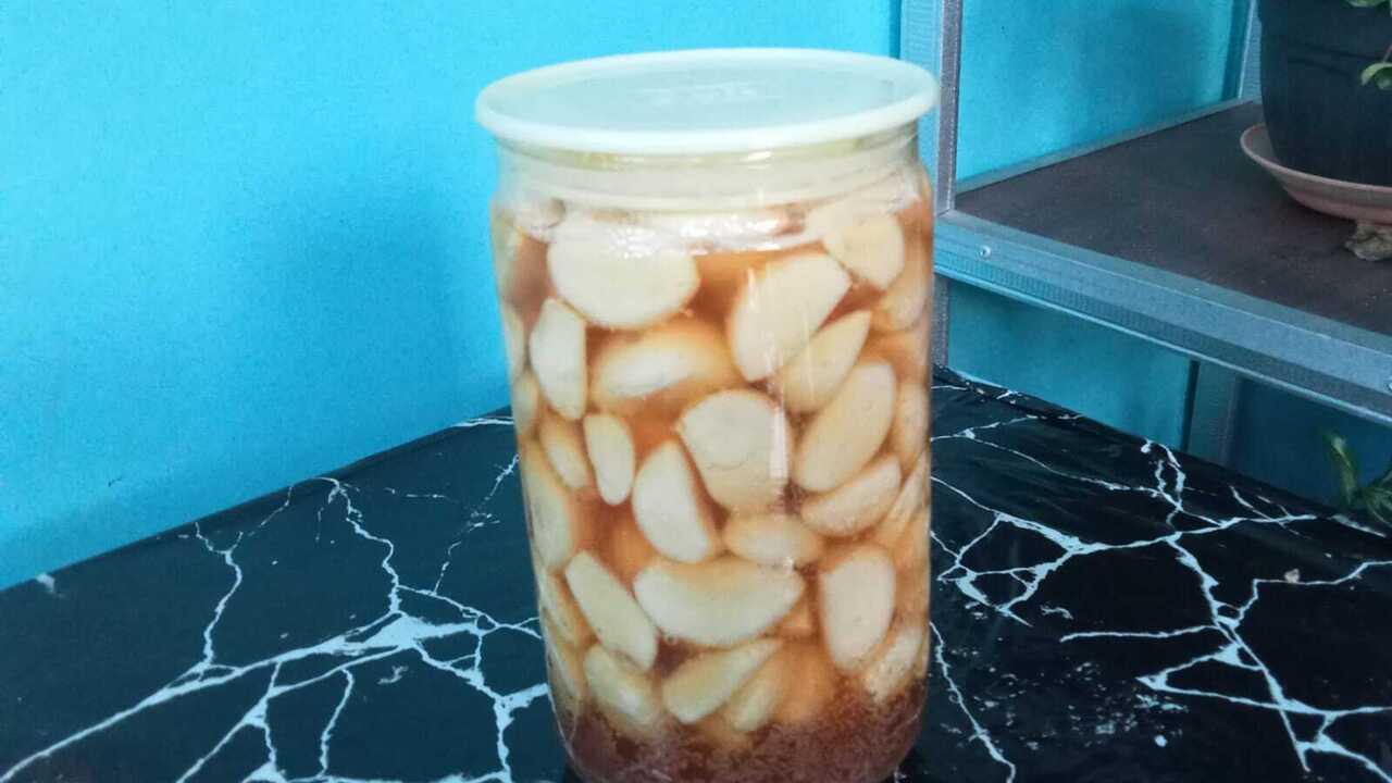 Fakta atau Mitos : Bawang Putih dan Madu Memiliki Banyak Khasiat, Begini Penjelasannya!