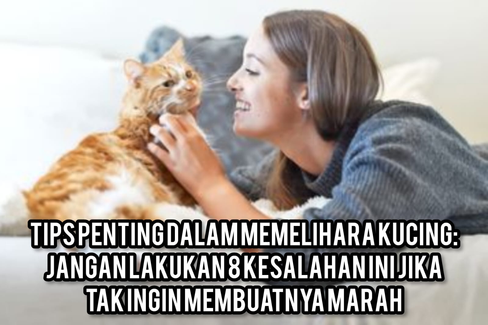 Tips Penting dalam Memelihara Kucing: Jangan Lakukan 8 Kesalahan Ini Jika Tak Ingin Membuatnya Marah