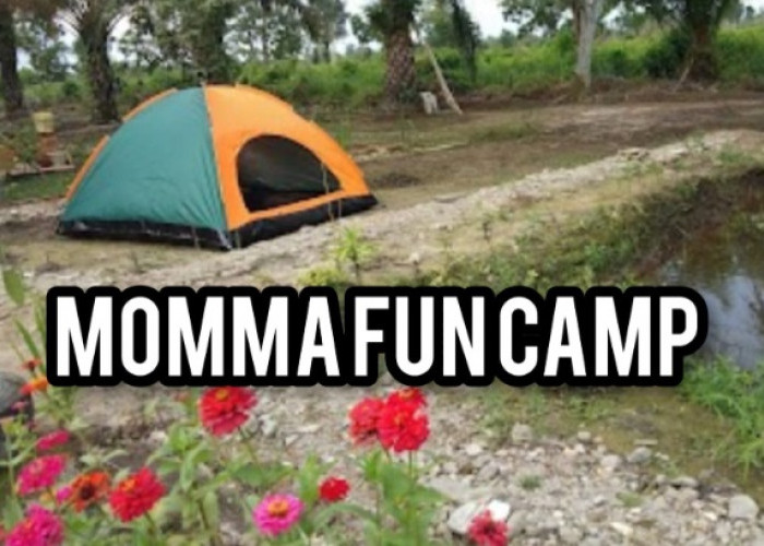 Bukan di Gunung, Camping di Perkebunan Sawit Ternyata Seru, Yuk ke Momma Fun Camp Bisa Hilangkan Stress