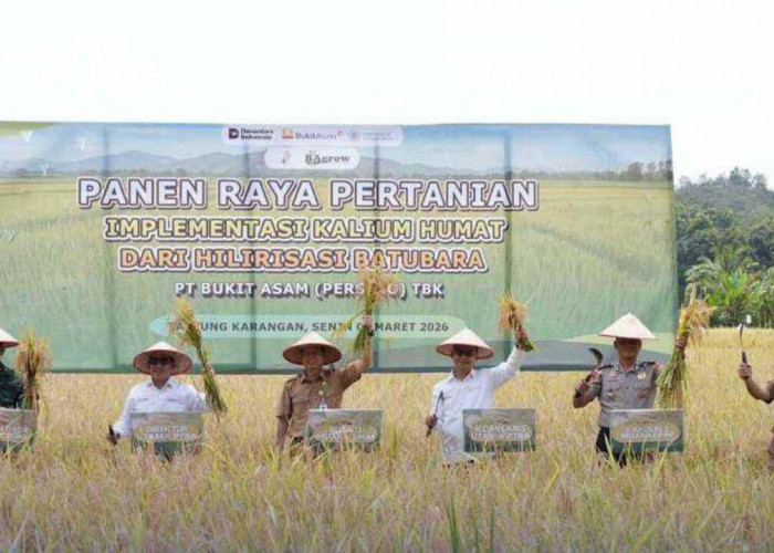 Dukung Pemanfaatan Kalium Humat, Tingkatkan Produktivitas Pertanian