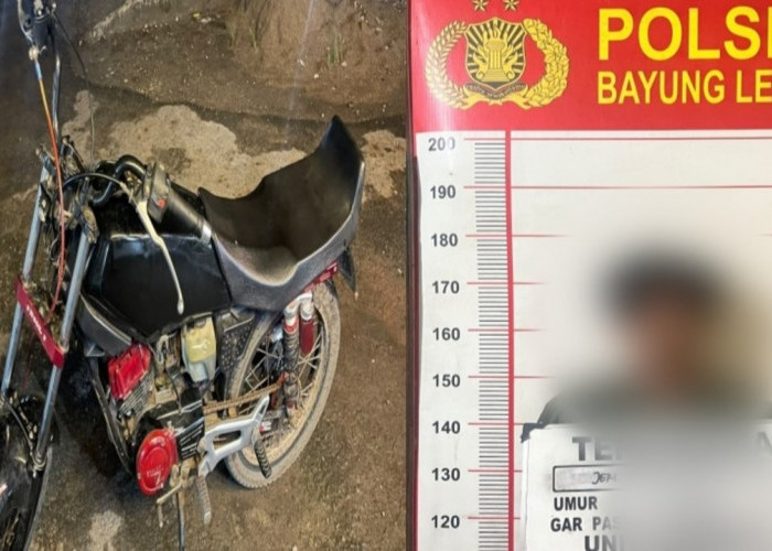 Bersembunyi di Desa Kali Berau, Pelaku Pencurian Motor di Bayung Lencir Diciduk Polisi