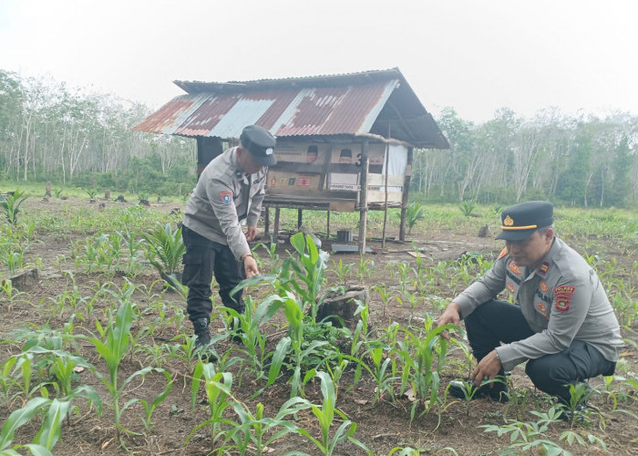 Dukung Kesejahteraan Petani Desa Sugih Waras Barat
