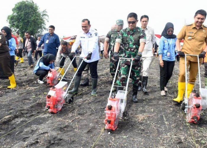 Dukung Program Pemerintah Swasembada Pangan, Sekda Edward Candra Bersama Kapolda Tanam Jagung Serentak 