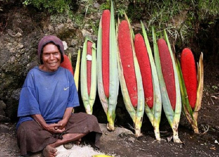 9 Tumbuhan Langka Dari Papua, Ada Juga Yang Bisa Dijadikan Bahan Bakar