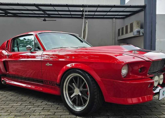 Kenapa Mustang Shelby GT500 1967 Masih Jadi Rebutan? Ini Jawabannya