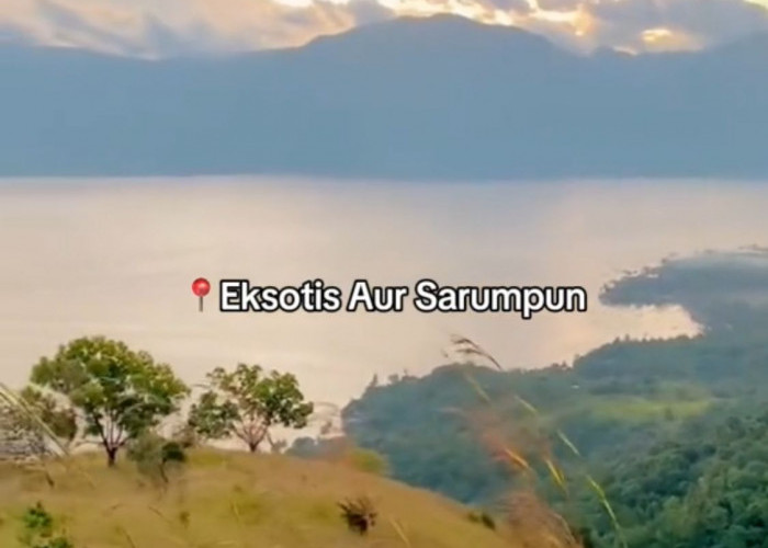 Menikmati Keindahan Danau Singkarak dari Puncak Aua Sarumpun