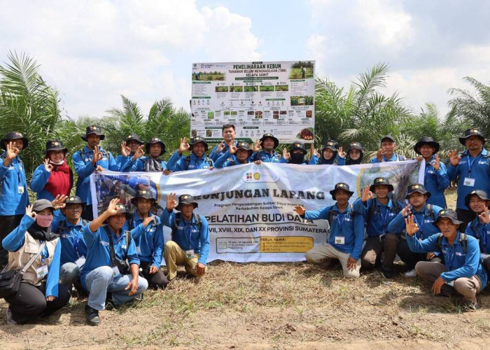 Dari Teori ke Praktik, 128 Petani Musi Rawas Ditempa Jadi Pekebun Sawit Profesional