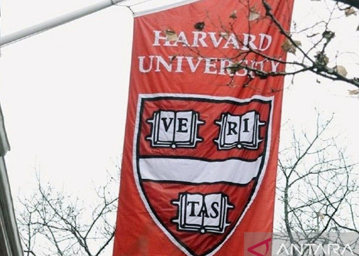 Universitas Harvard Dilarang Terima Mahasiswa Asing, Dunia Akademik Internasional Terancam