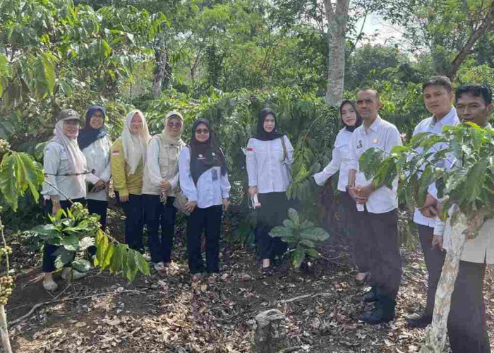 Kemenkum Sumsel Pantau Mutu Kopi Robusta Lahat sebagai Produk Indikasi Geografis