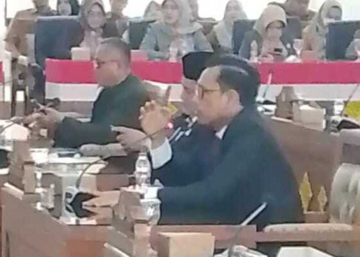 Kritik Pemkab Ogan Ilir, Sayuti Soroti Kasus Asusila hingga Akses Jalan Yang Dikeluhkan Warga