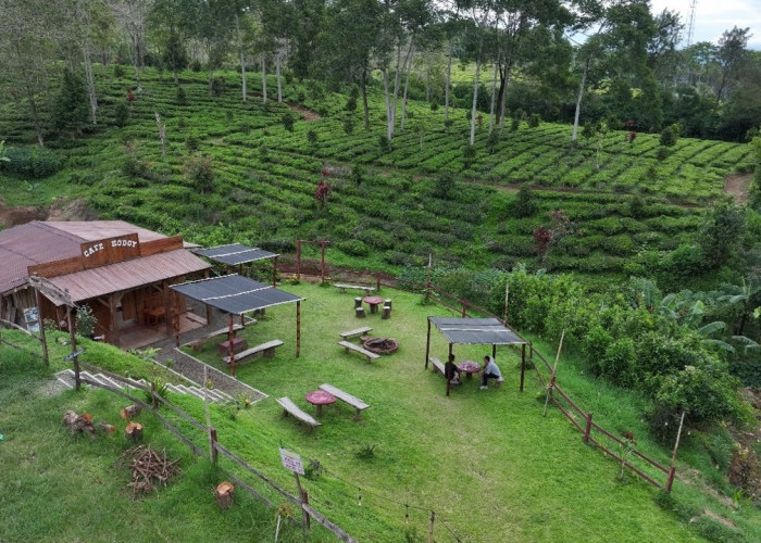 Kampung Koboi Tugu Selatan, Wujud Transformasi Desa Berbasis Potensi Lokal dalam Program Desa BRILiaN
