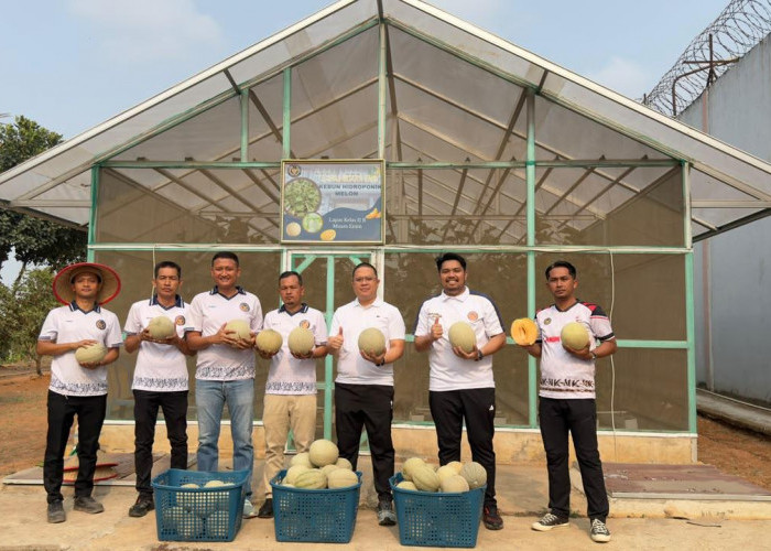 Dorong Pembinaan Kemandirian, Panen Raya 120 Kg Melon 