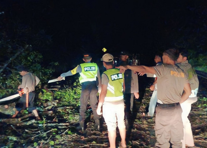 Polisi Evakuasi Pohon Tumbang di Jalur Mudik Kabupaten OKU