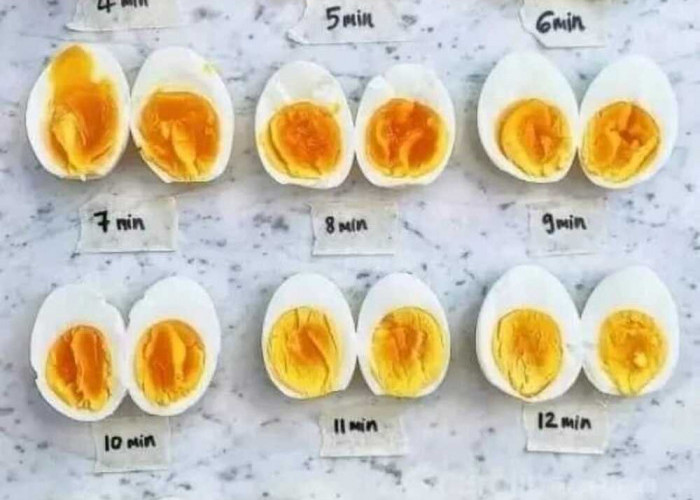 Telur Bebek vs Telur Ayam: Memahami Perbedaan Rasa yang Signifikan